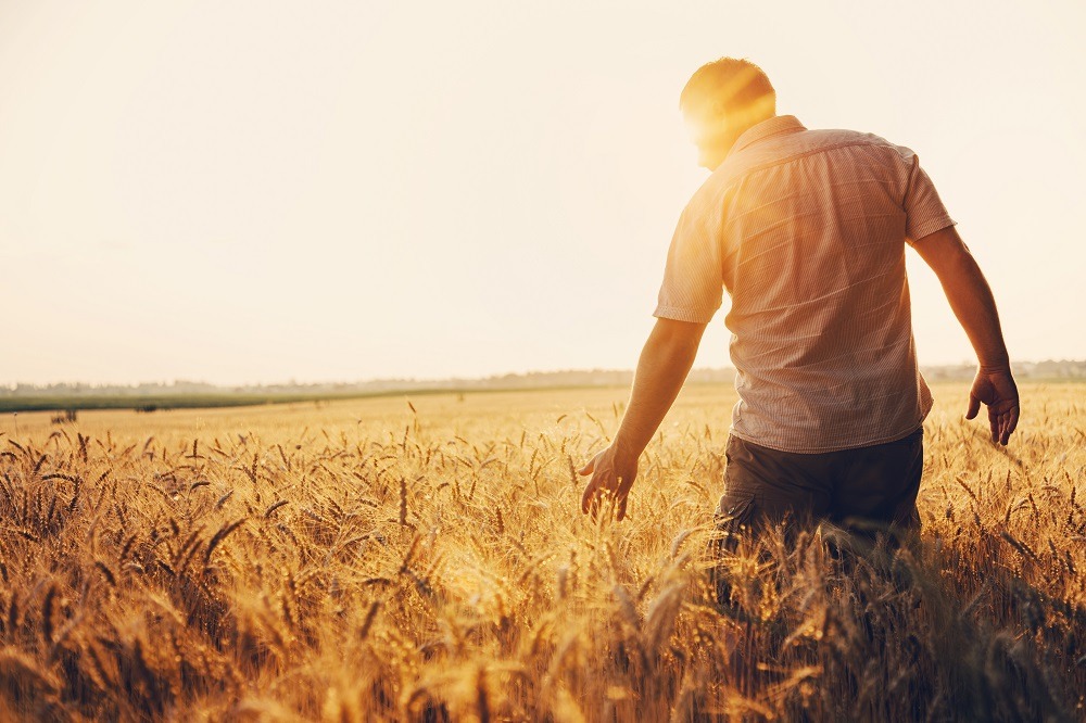man in field